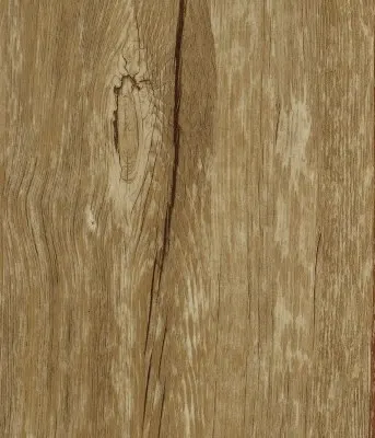 Lifestyle 4.2 Old Oak