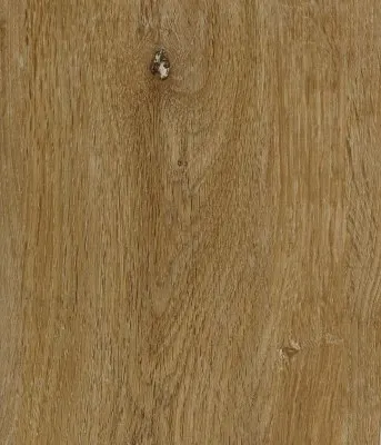 Lifestyle 5 Varnish Oak